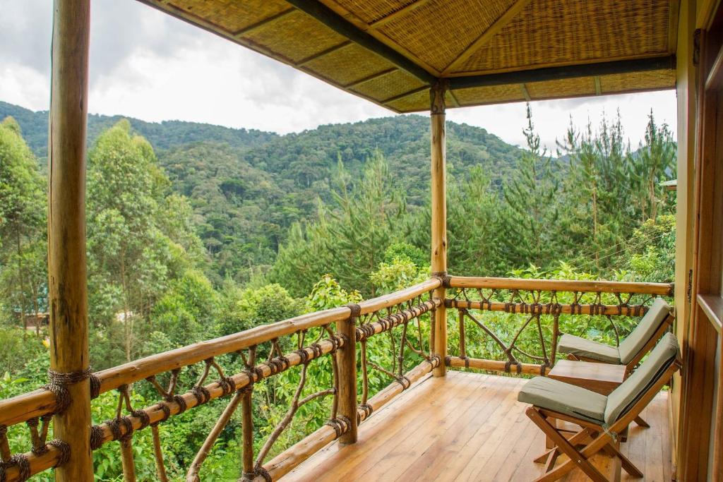 Ichumbi Gorilla Lodge1