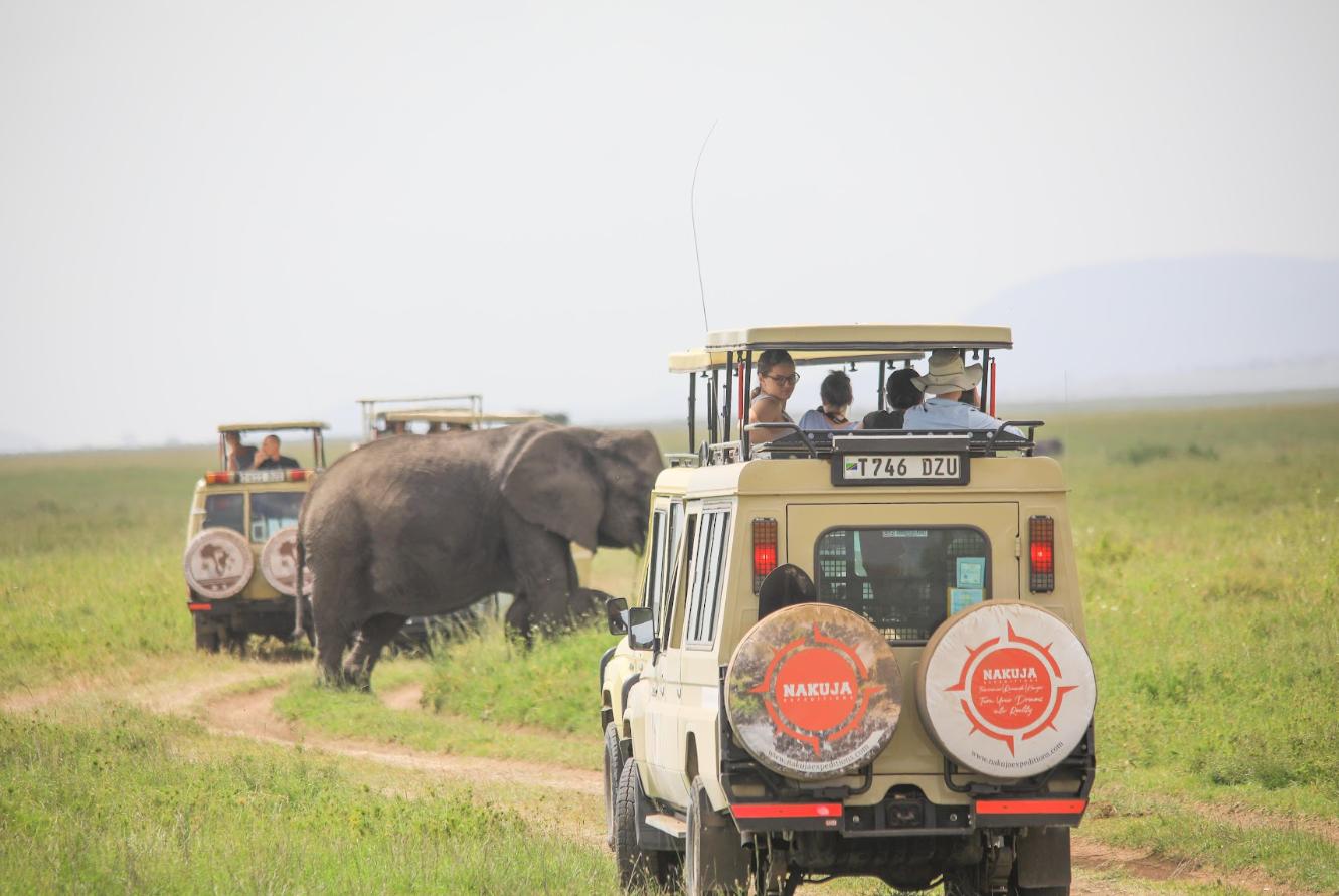 Safari tour with Nakuja Expedition