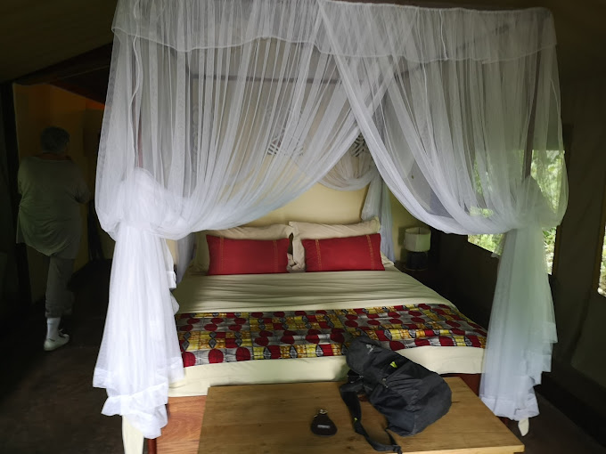 Ruzizi Tented Lodge2