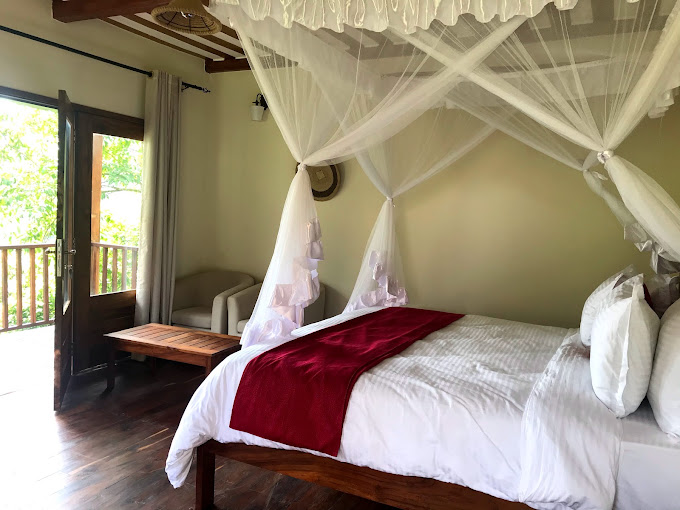 four  Gorillas Lodge1