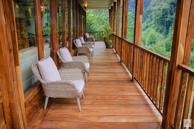 four  Gorillas Lodge2