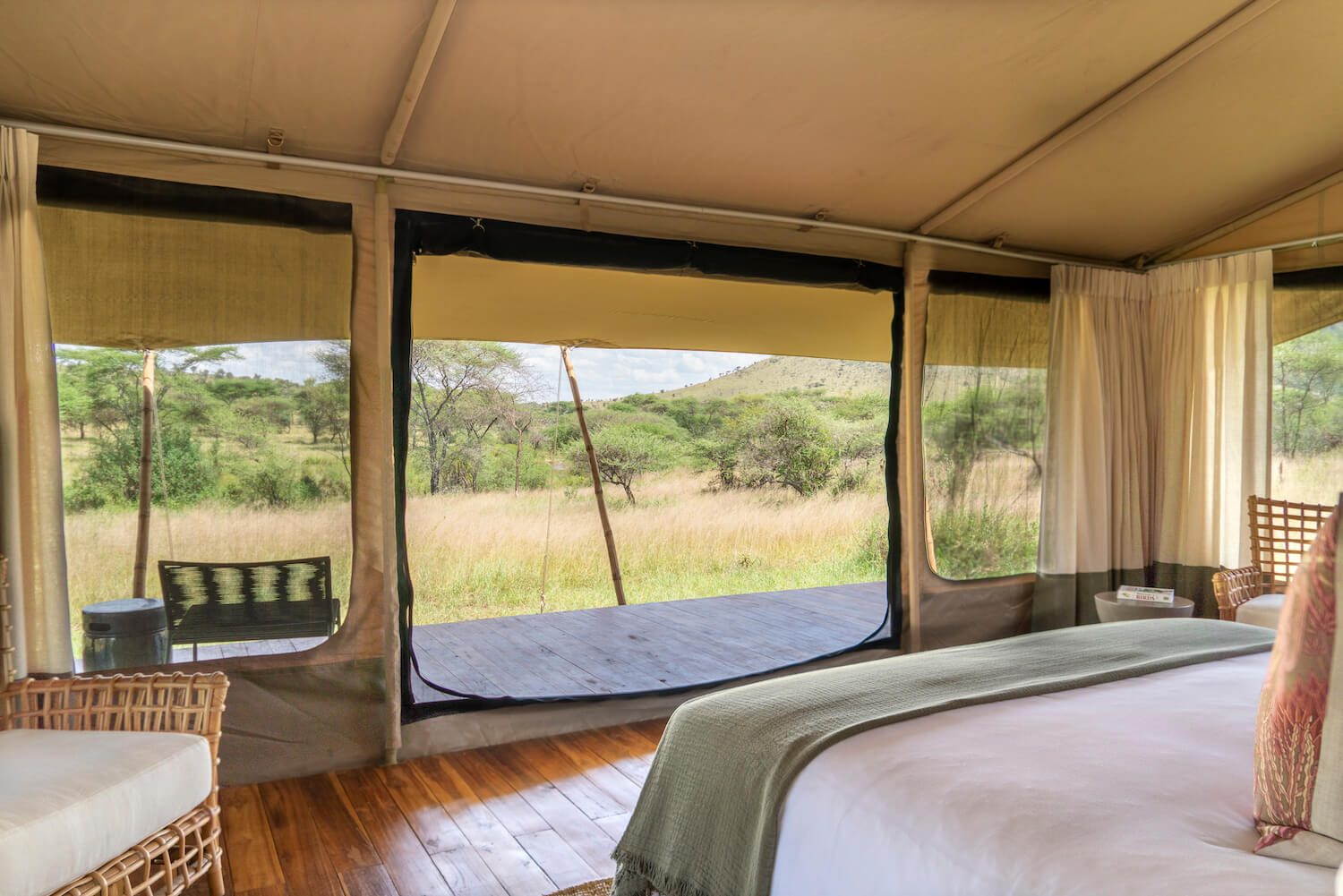 serengeti acacia bliss1