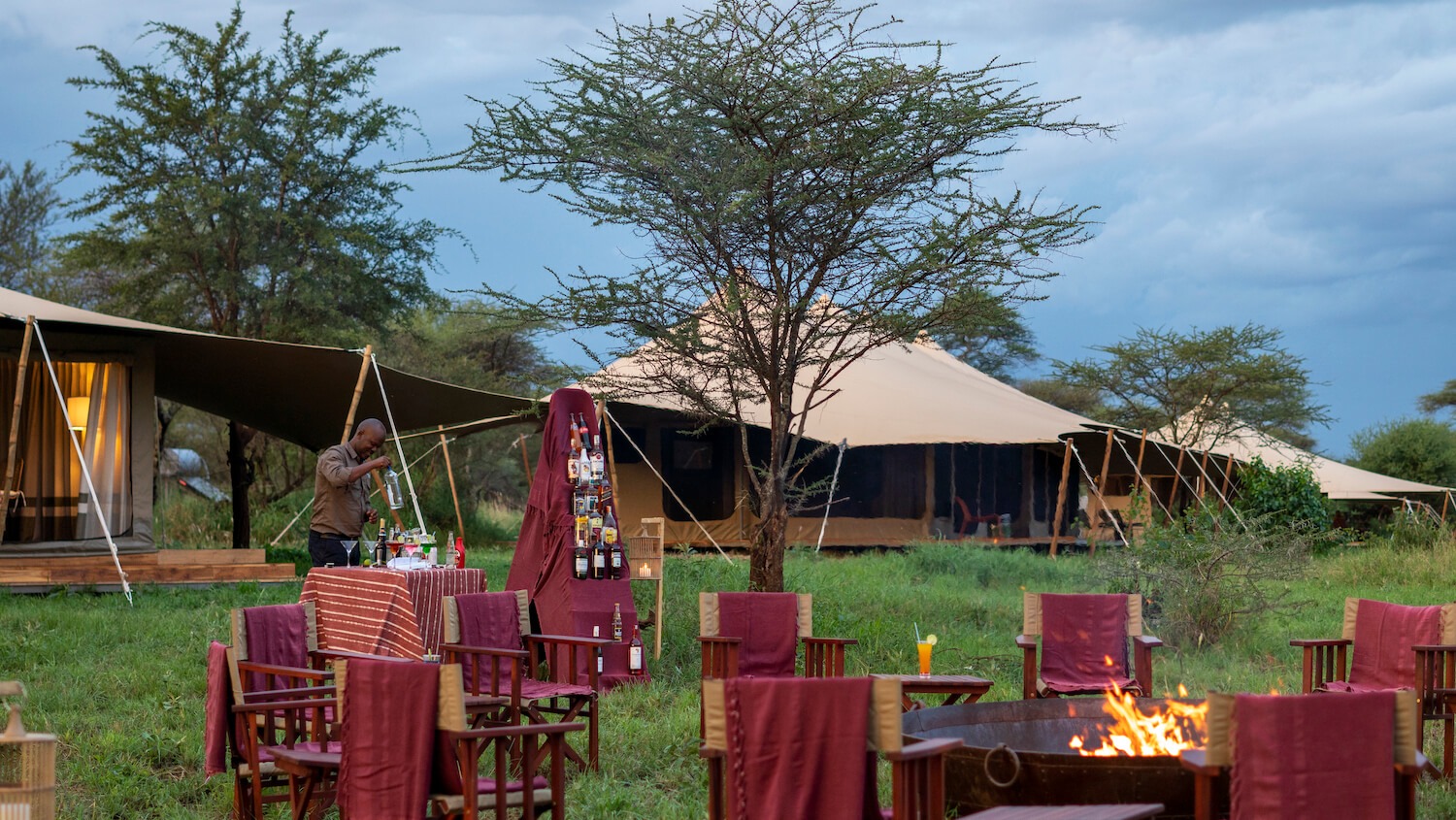 serengeti acacia bliss3