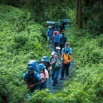 A group of hikers going up a lush green mountain.