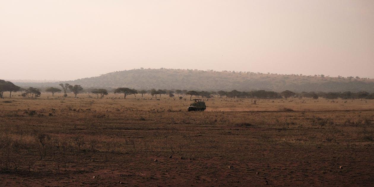 sunrise safari in Masai Mara, Kenya