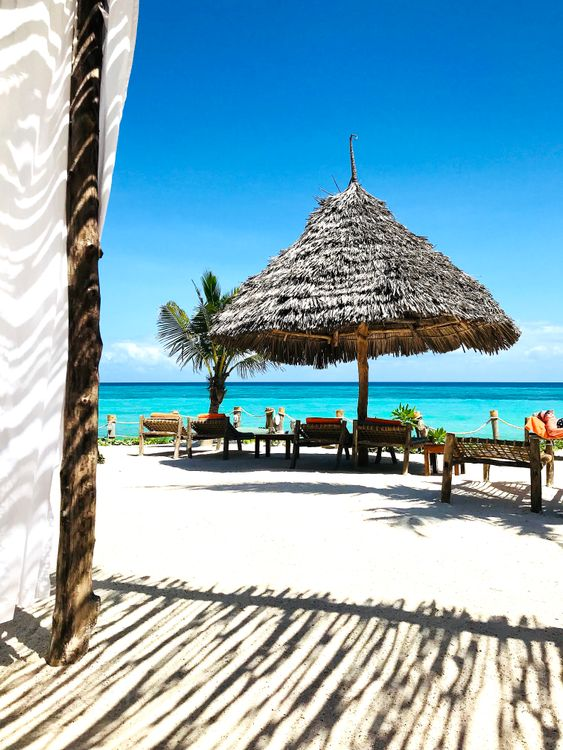 Beach chairs next to the sea