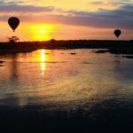 Experience the magic of noctourism and discover Africa's incredible wildlife after dark with an unforgettable safari by Nakuja Expeditions.