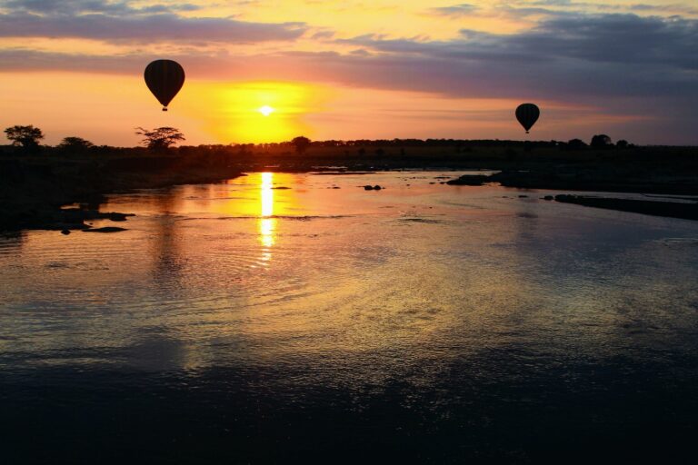 Experience the magic of noctourism and discover Africa's incredible wildlife after dark with an unforgettable safari by Nakuja Expeditions.