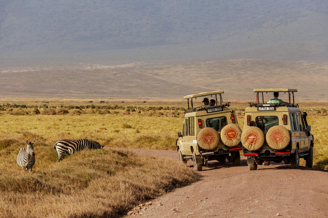 Discover why first-time travelers are choosing multi-country African expeditions to enjoy diverse landscapes, iconic wildlife, and once-in-a-lifetime experiences across Africa.