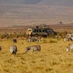 The smallest, most sought-after camps are exactly why booking your African safari early matters so much.