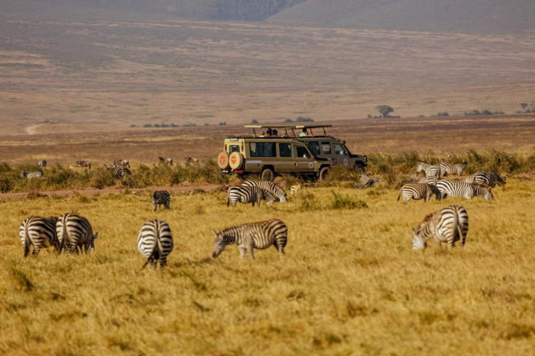 The smallest, most sought-after camps are exactly why booking your African safari early matters so much.
