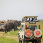 Choosing an African tour operator starts with knowing exactly which questions to ask before booking.