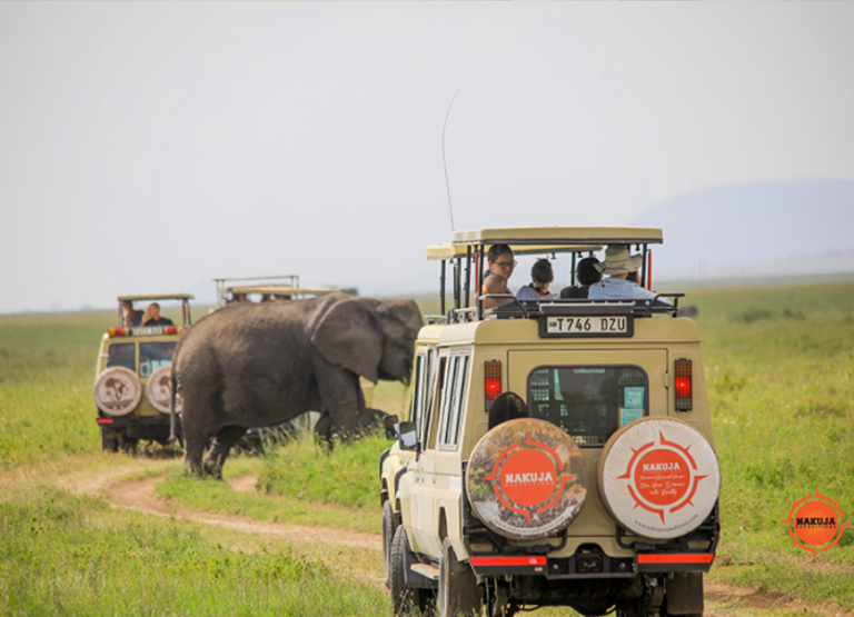 Choosing an African tour operator starts with knowing exactly which questions to ask before booking.