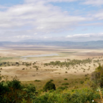 A single-country trip through Tanzania can still cover extraordinary ground, from the Serengeti to the Ngorongoro Crater.