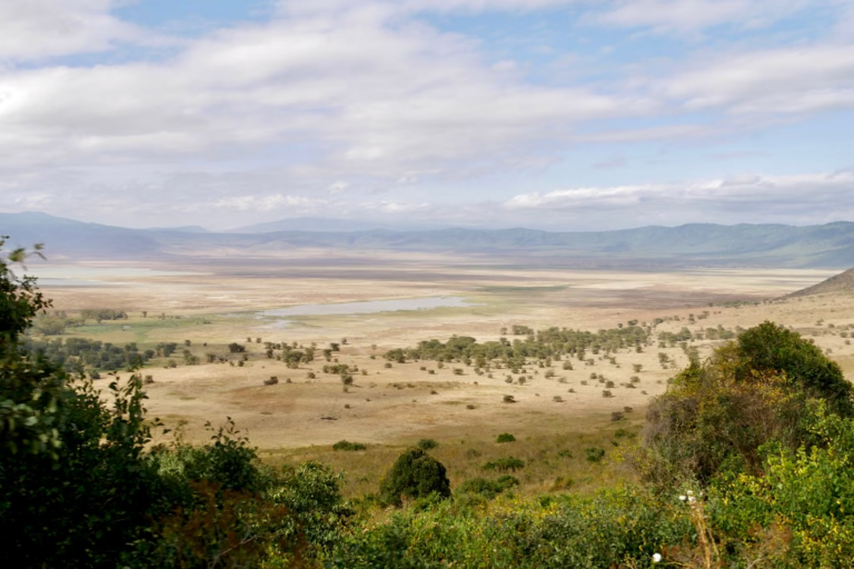 A single-country trip through Tanzania can still cover extraordinary ground, from the Serengeti to the Ngorongoro Crater.