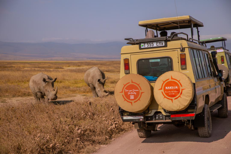 Recognizing the signs of a rushed trip is the first step toward planning a well-paced African itinerary.